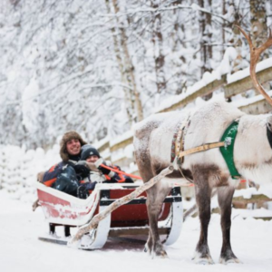 What to do in Rovaniemi Lapland